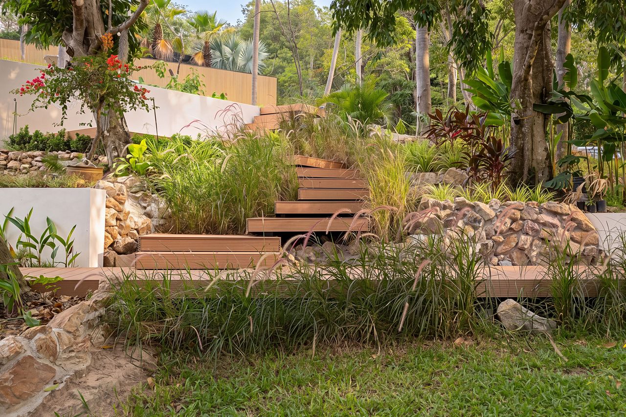 Garden steps through the tropical planting