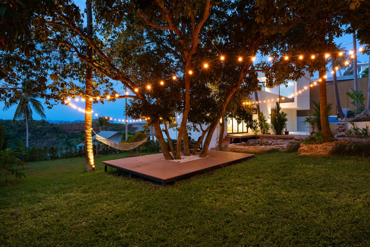 The garden at blue hour with string lights